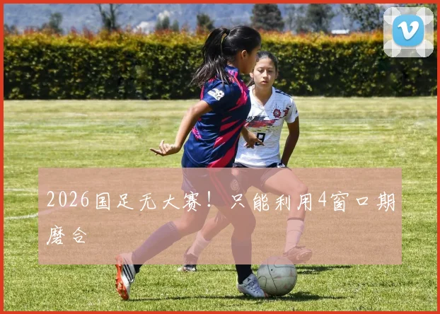 2026国足无大赛！只能利用4窗口期磨合